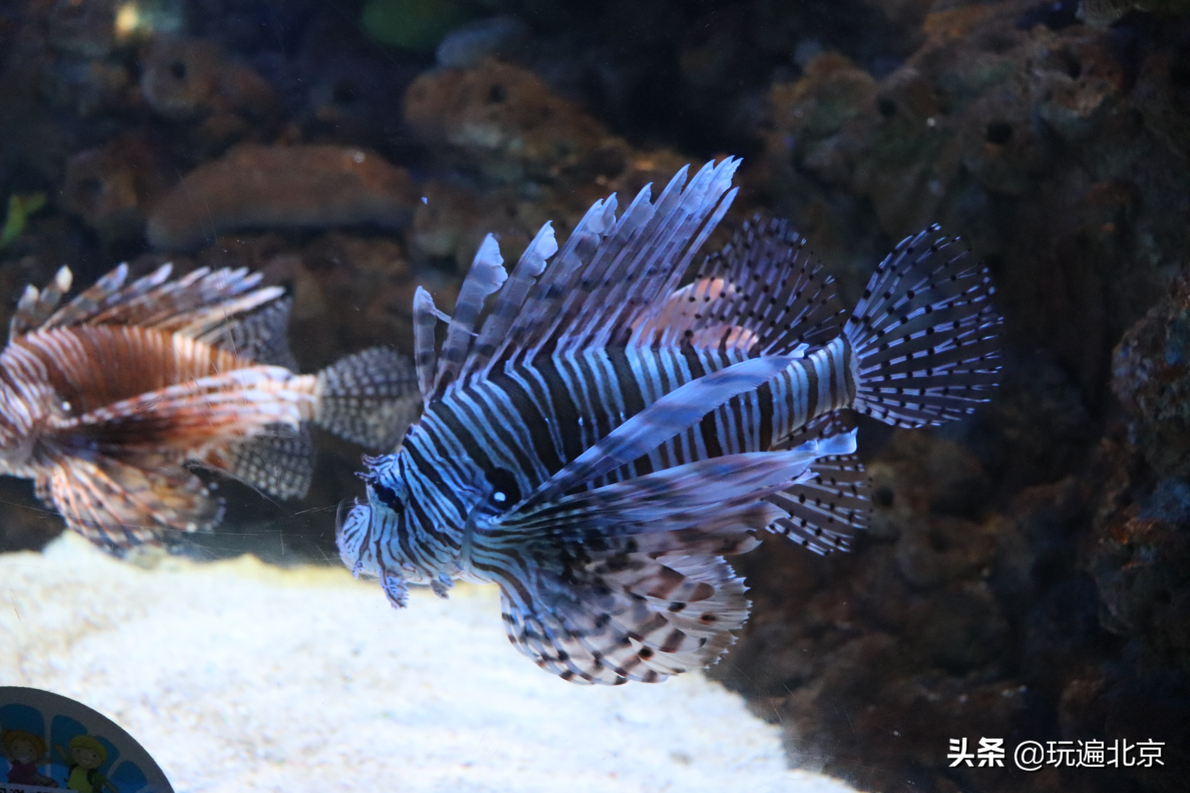 富国海底世界,海底世界的深海奥秘