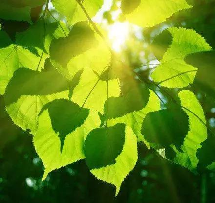 热爱生活的理由又多了一点,热爱生活的理由是什么