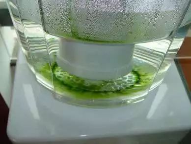 饮用水起青苔,饮用水里长青苔是水质好吗