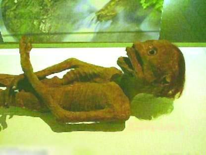 令人毛骨悚然的神秘生物,让人毛骨悚然的神秘生物