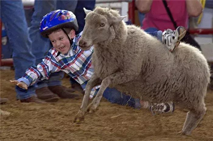 猫咪帮铲屎官接待客人,猫咪礼貌推开铲屎官