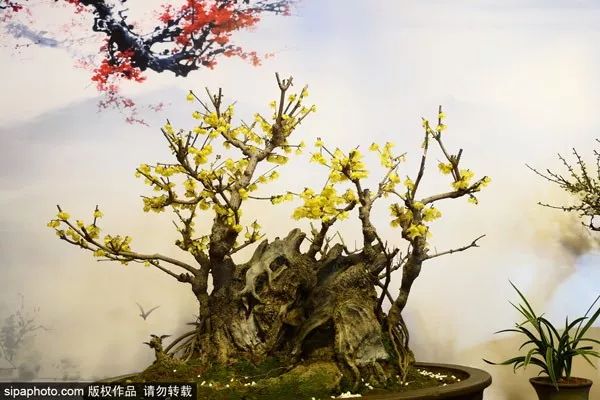 北京一类卡办理需要什么条件,北京生活办哪些卡