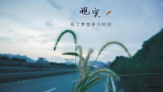 马后炮足球,马后炮足球解说