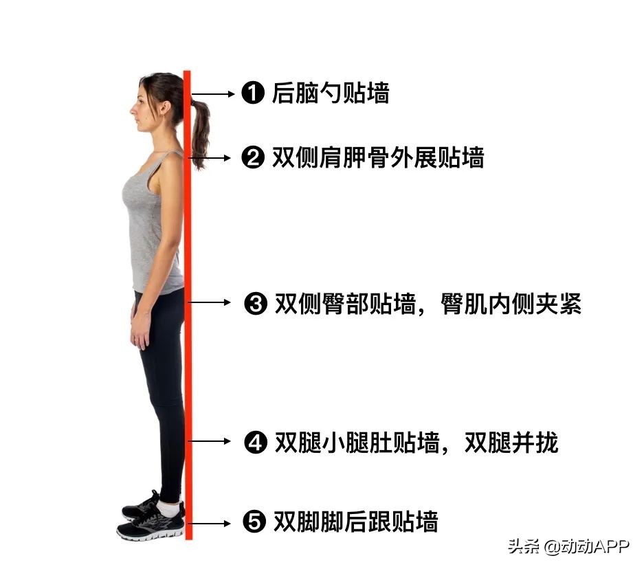 每天早晚各30分钟超燃脂,每天20分钟燃脂一整天