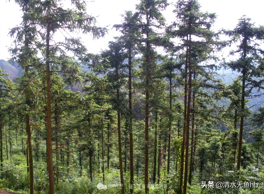 铜钹山九仙湖简介,铜钹山九仙湖几级景区