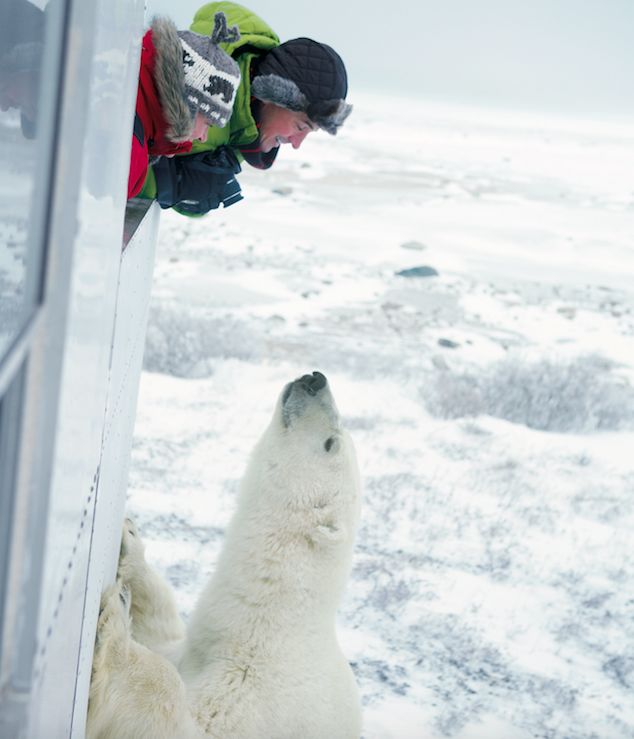人生太南南南南了