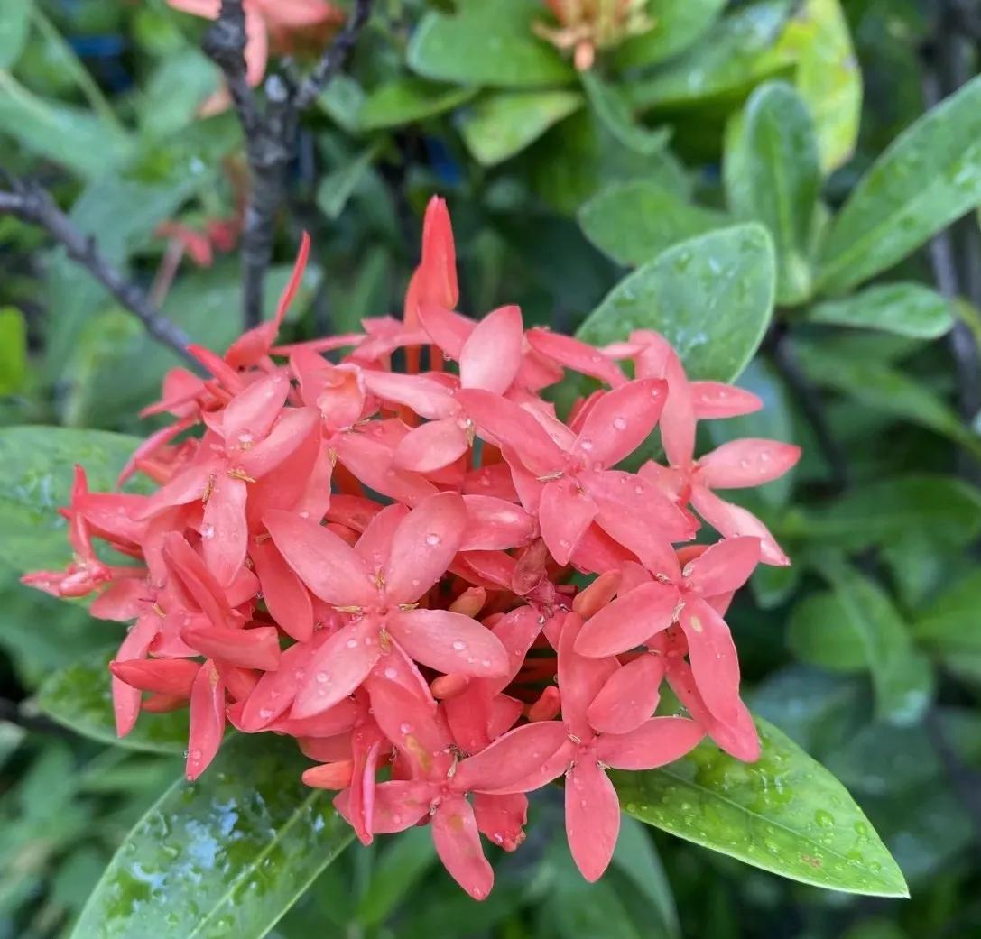 瑞丽一寨两国值得去吗,去瑞丽一寨两国旅游需要护照吗