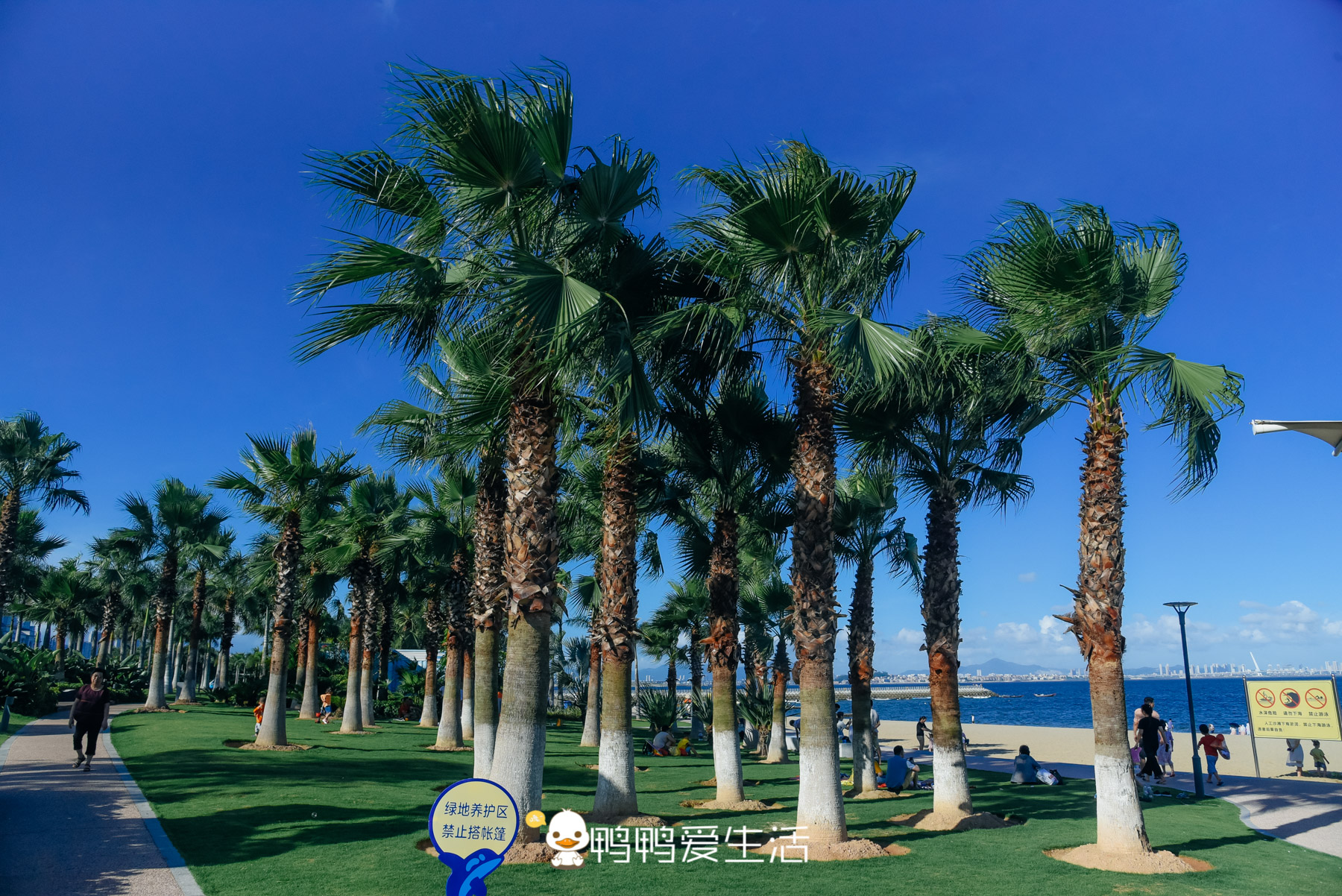 厦门岛外绝美生态公园,有浪漫滨海沙滩,还能运动锻炼免费开放