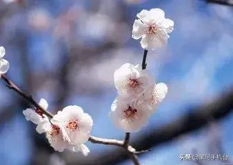 漯河美丽的沙澧河,美丽的漯河沙澧河风景区