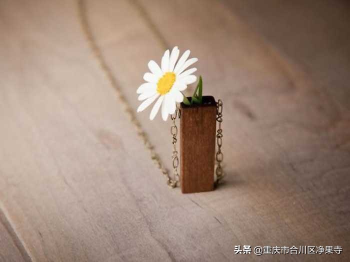 佛教里南无阿弥陀佛是什么意思,佛教里南无阿弥陀佛是什么意思啊