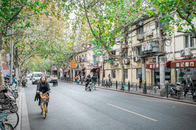 上海必逛的十条马路,上海比较有名的小马路