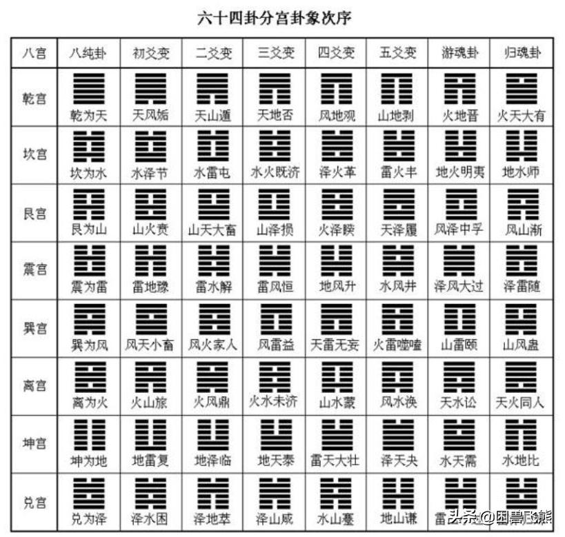 不可思议进化论,遗传学的未解之谜