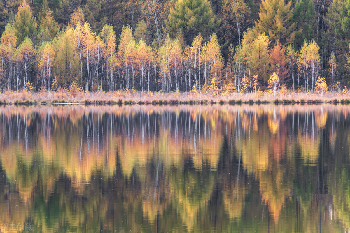 股票入门干货教程十步学会炒股,股票单边行情买卖技巧