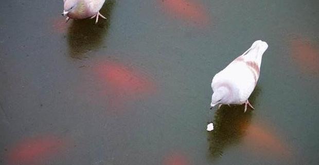 媳妇感冒了老公要求分房睡,儿媳妇感冒了婆婆很关心