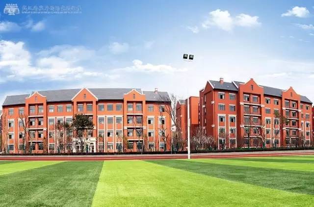 武汉十大贵族国际学校,武汉超级难进的七大贵族学校