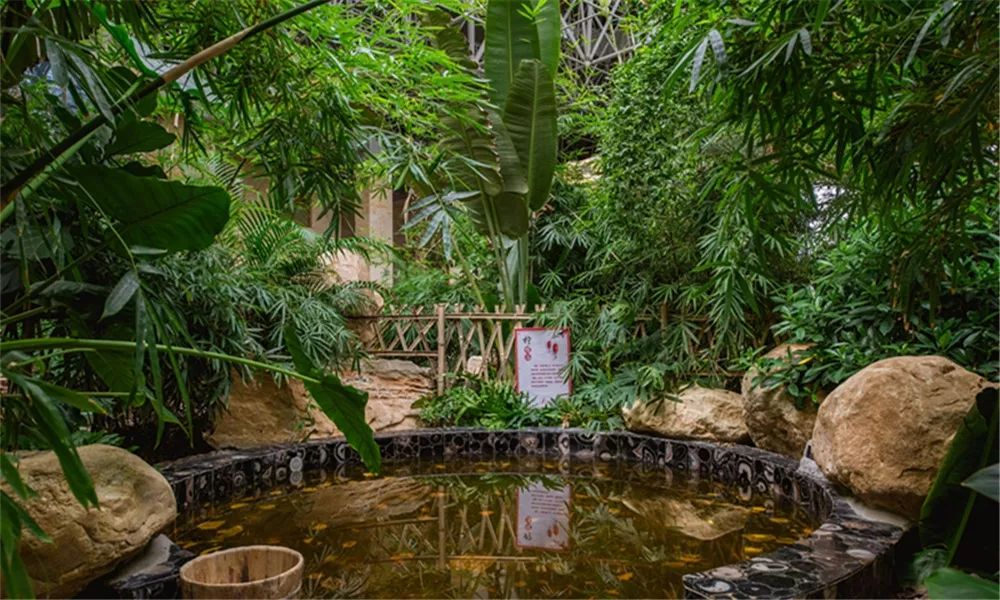 河北白鹿温泉冬天去可以吗 (河北森林温泉推荐)