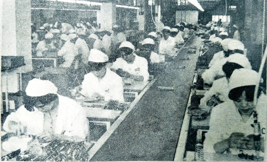 惠州市促进制造业高质量发展,广东惠州新型工业化建设