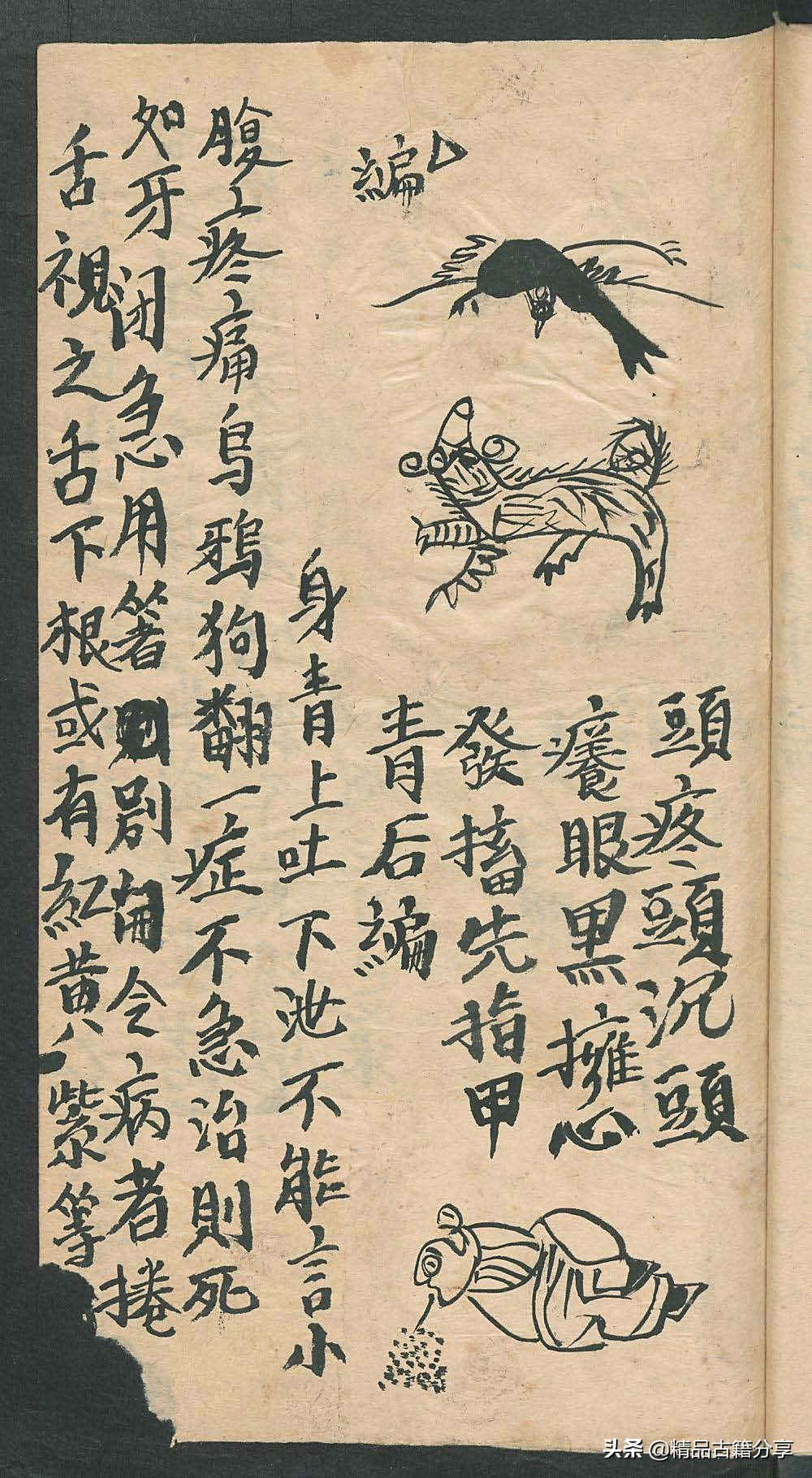 民间中医古籍书籍大全,民间看病书