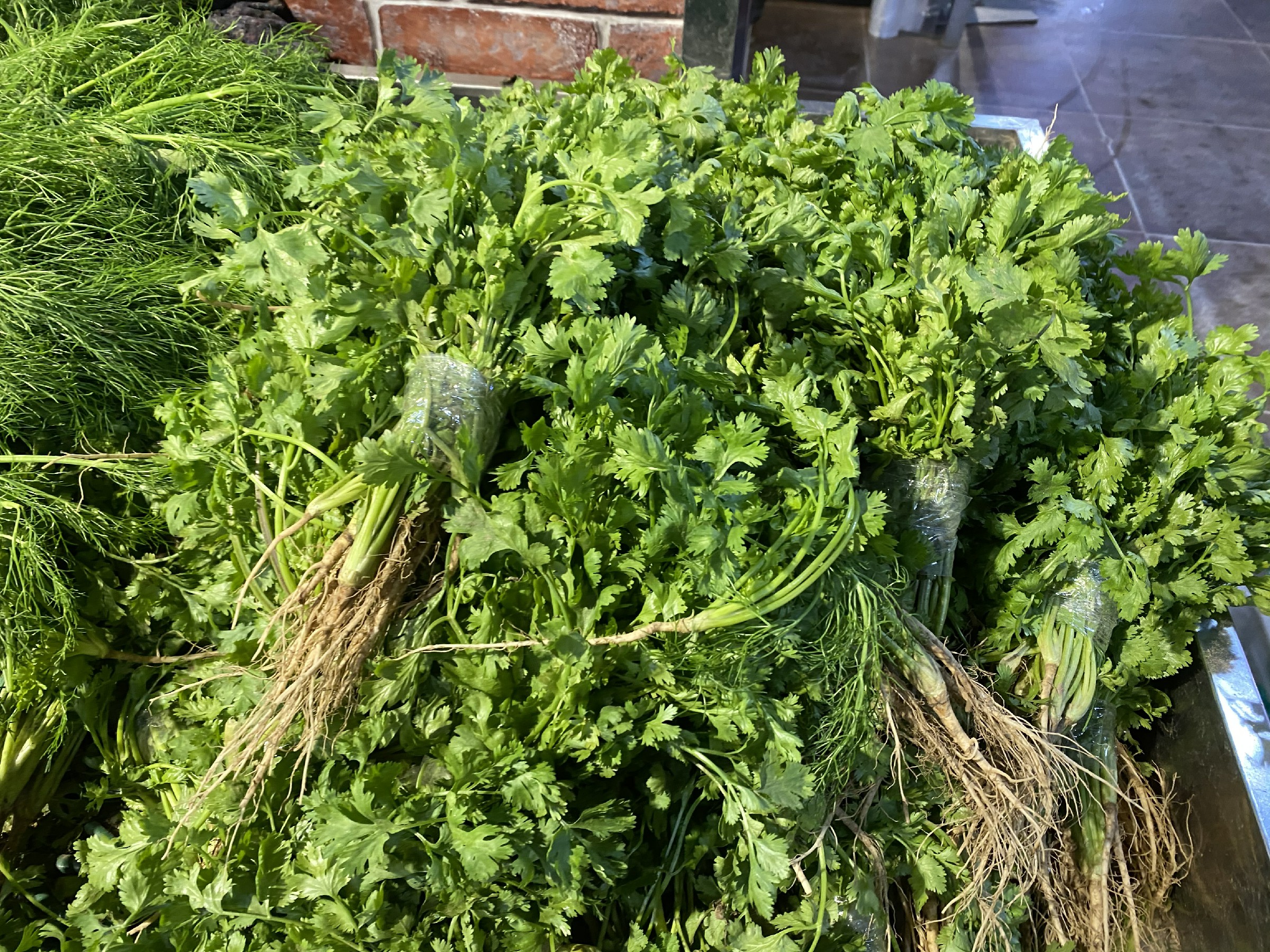 吃不完的香菜怎么保存,吃不完的香菜怎样再栽培