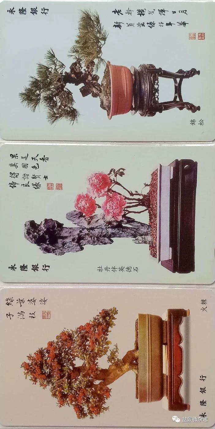 鐩嗘櫙鑱旂郴鐢佃瘽,鐩嗘櫙鑱旂郴鐢佃瘽鍙风爜