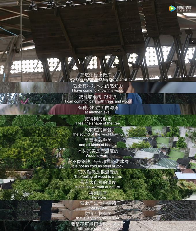 当你知道生命无法永生的时候,菩提岛屿