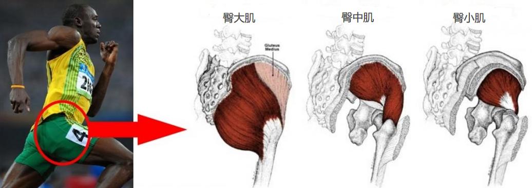 假胯宽翘臀矫正的正确方法,臀腿假胯宽训练
