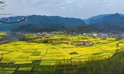 宜昌金家湾木屋酒店,远安金家湾木屋