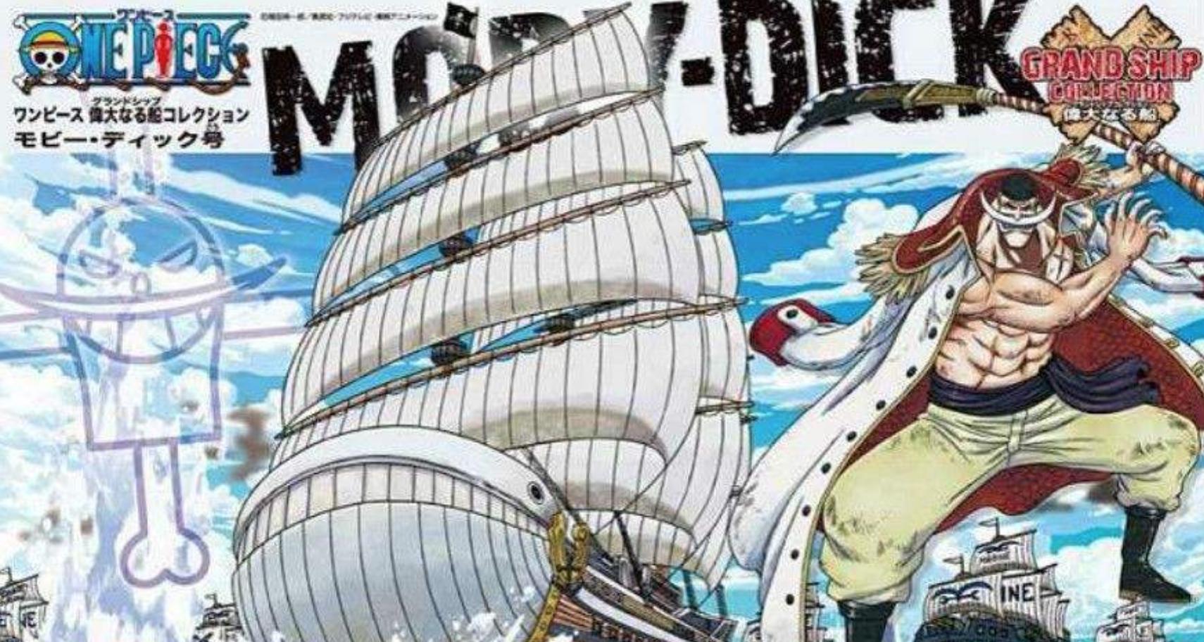 看了海贼王还看剧场版吗,看了1000遍海贼王