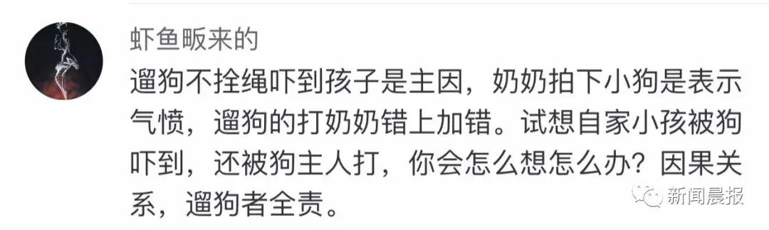 遛狗不牵绳算野狗吗,遛狗不牵狗绳咬伤别人怎么办