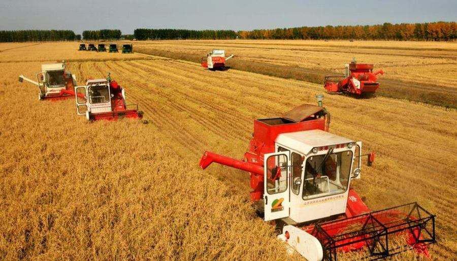 沉淀6年,赋能加速,丰农控股:构建农服行业独角兽公司