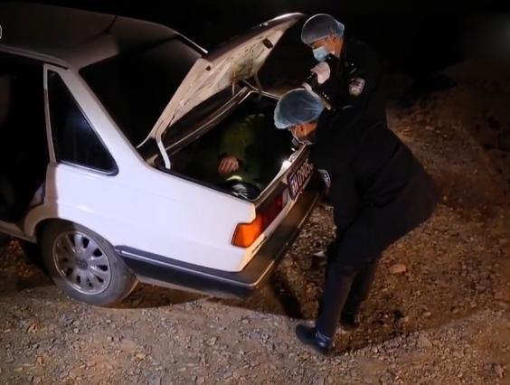 古墓宝藏之谜,墓室之谜完整版