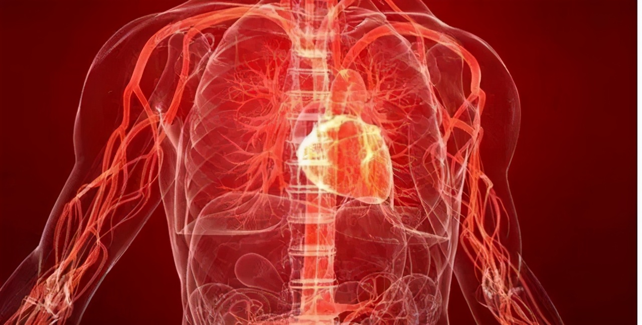 体内堵车虽然常见,置之不理后果很严重