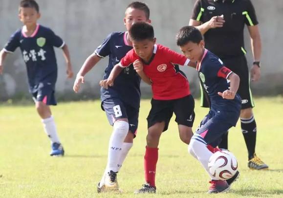 甲A明星两大品牌赛事落户肇庆，打造大湾区运动名城