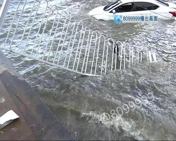 网约司机开车冲进滇池 (网约车司机把车开进滇池)