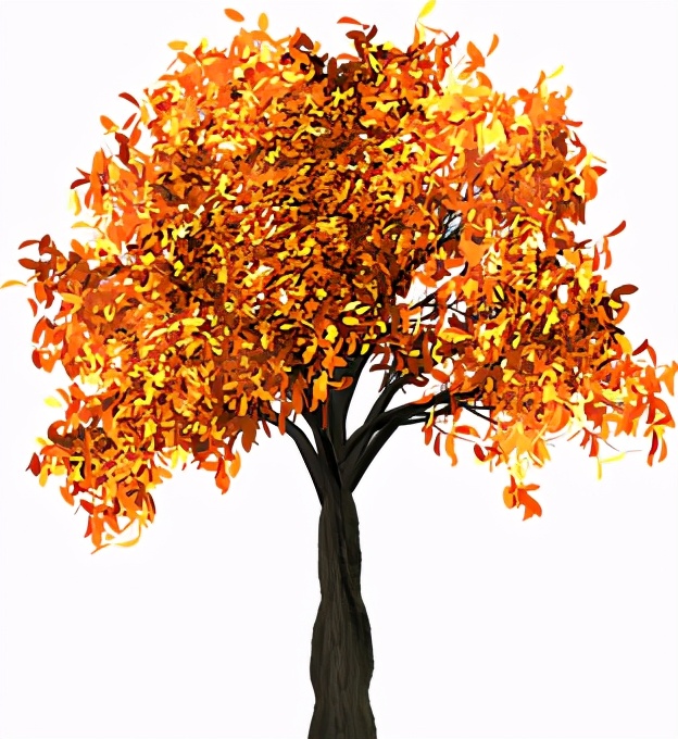 化妆品公认有效的植物提取物,化妆品中草本提取物是真的吗