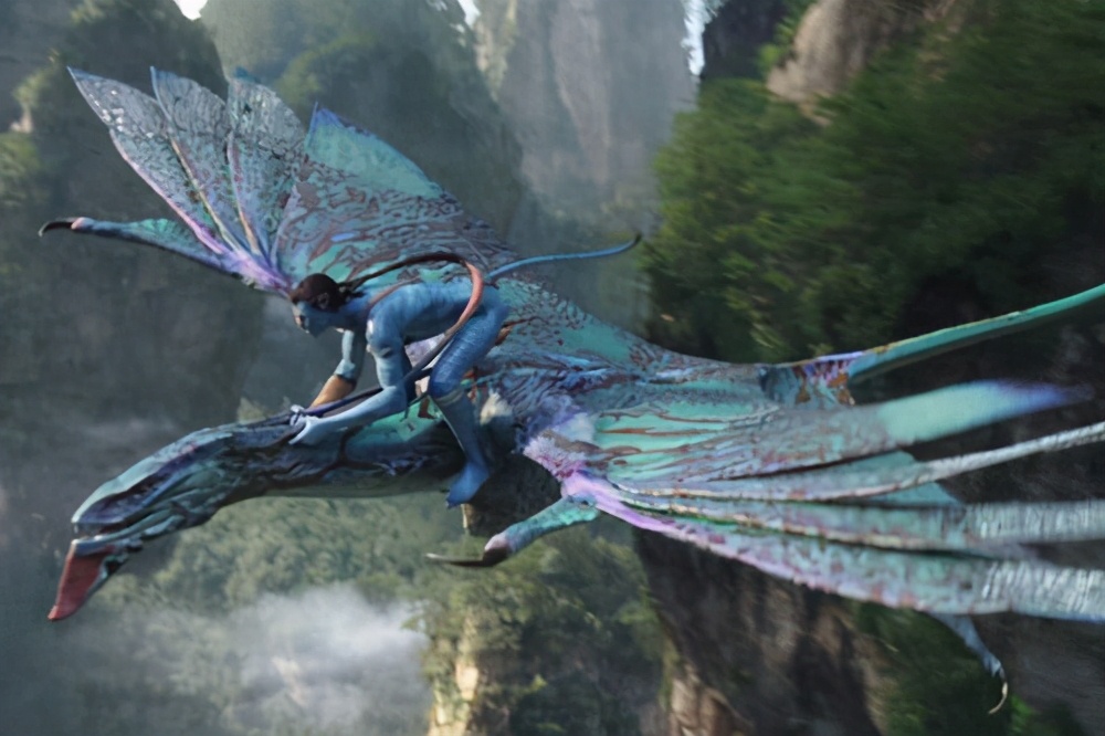 *处私**的毛发对人类到底有什么意义？毛发的作用，背后可能颠覆认知