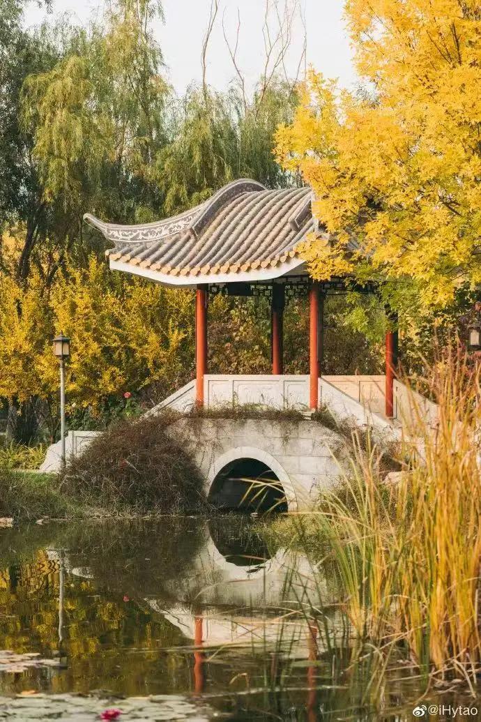 创森进行时丨立冬后，我把丰台的秋，收进了相册里