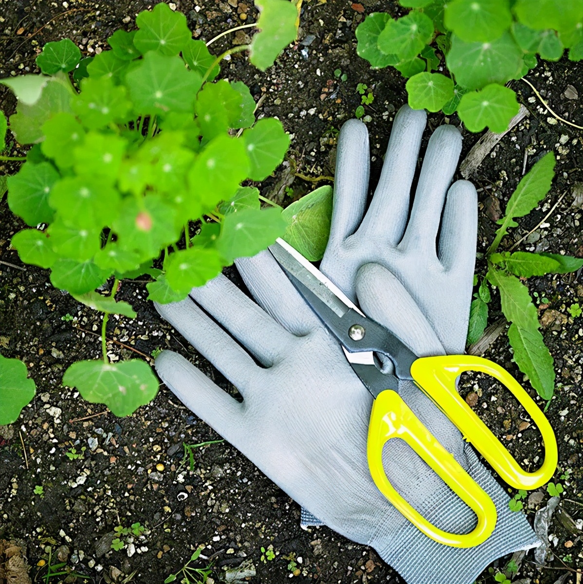 施肥手法,施肥技术和方法