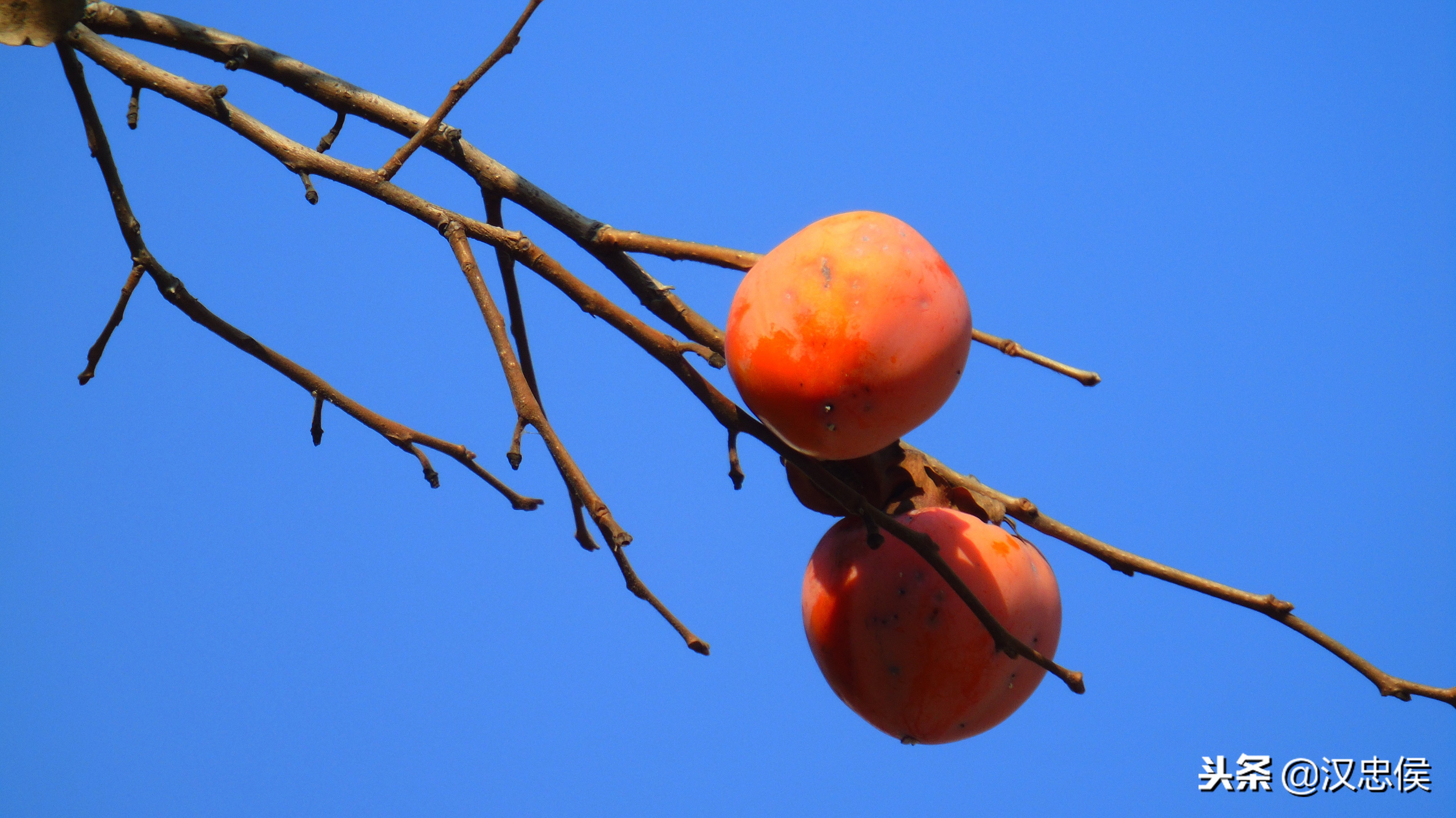3000以内性价比超高的二手相机,适合拍摄的二手相机