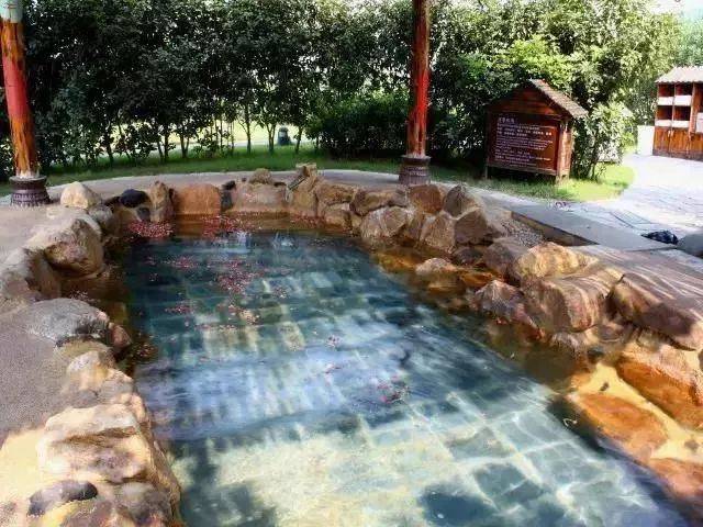 倒数狂欢夜,清远森波拉奇妙世界主题乐园住宿