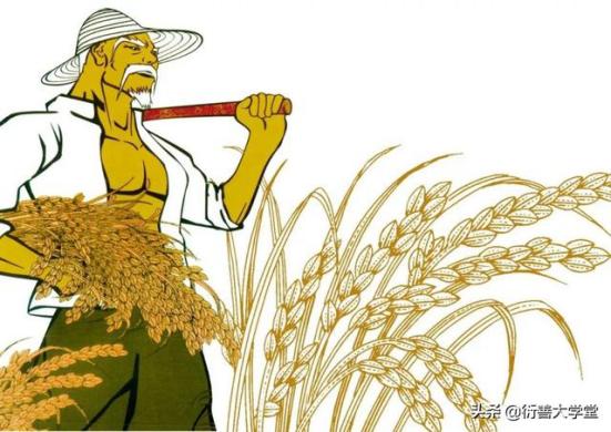 衍善玖坊是什么档次,衍善玖坊价格表