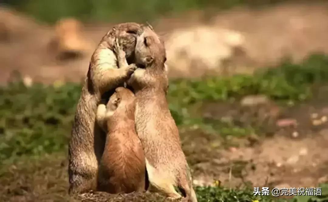 今天2.1，2月第1天，谁编的，太好笑了，给群里乐一乐~