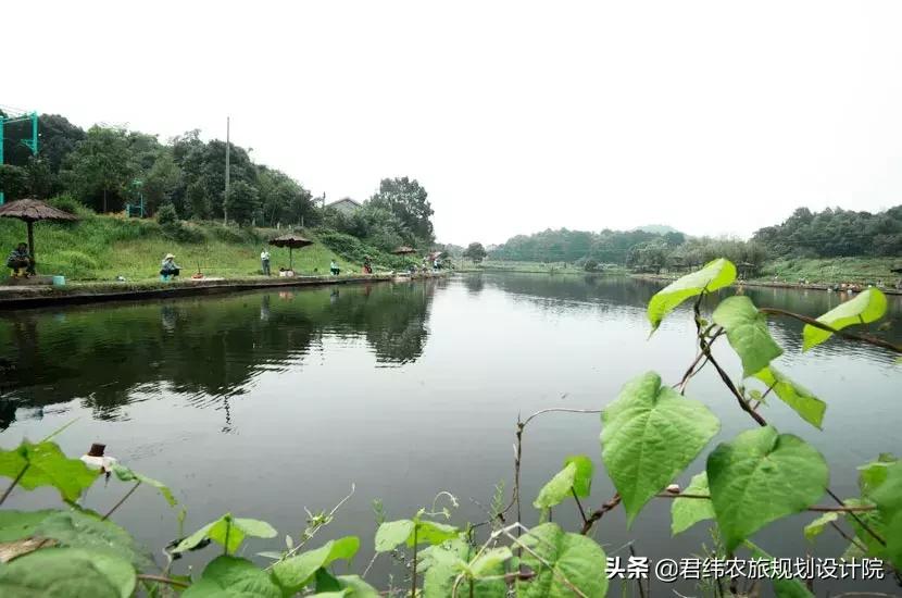 湘御明月湖,湘御明月湖山庄钓鱼