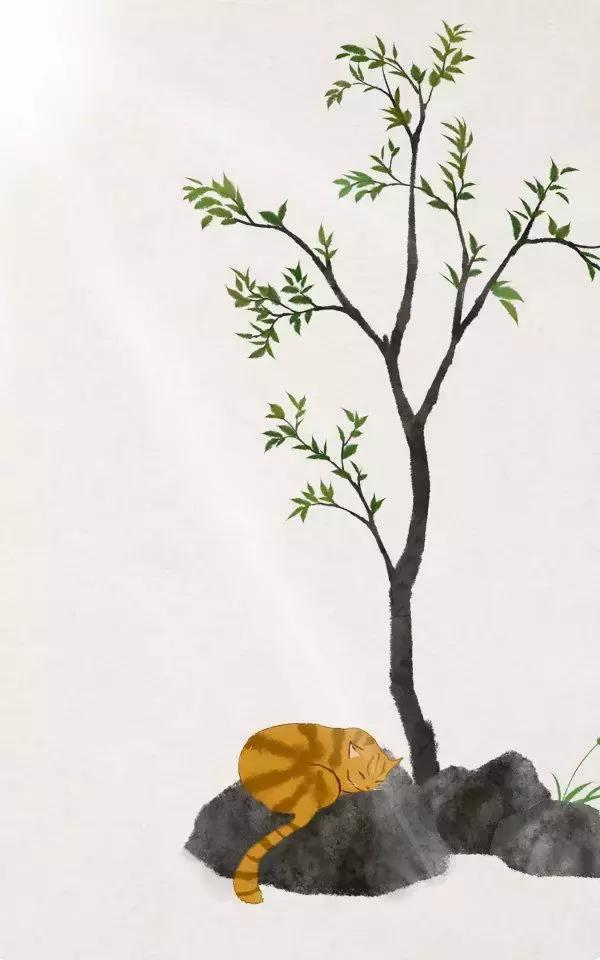 值得收藏的古诗词名句及译文,每日一首经典古诗词及注释