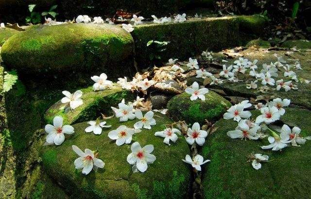 宜春滑雪和泡温泉,宜春旅游冬季滑雪