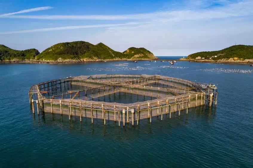 浙江哪里年糕好吃,浙江有什么好吃的