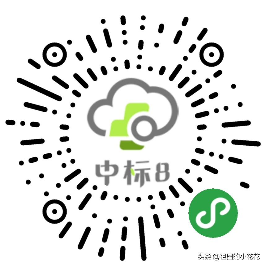 中标信息哪个平台最好,中标app哪个好