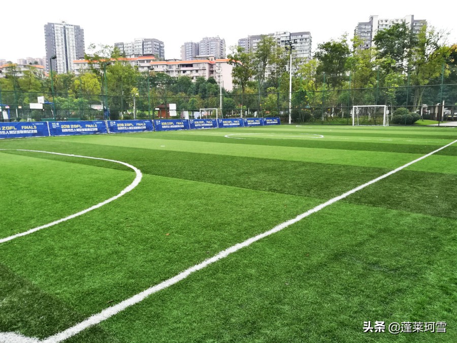 自贡汇东足球,自贡5人制足球联赛