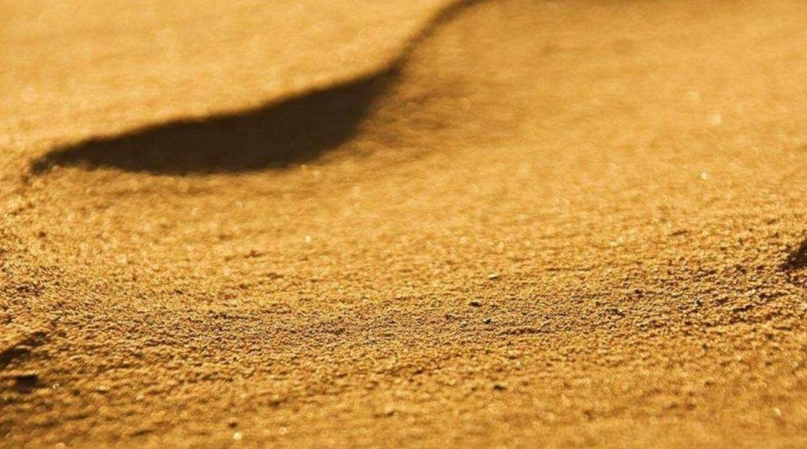 河沙暴涨是哪年开始,河沙涨了多少倍