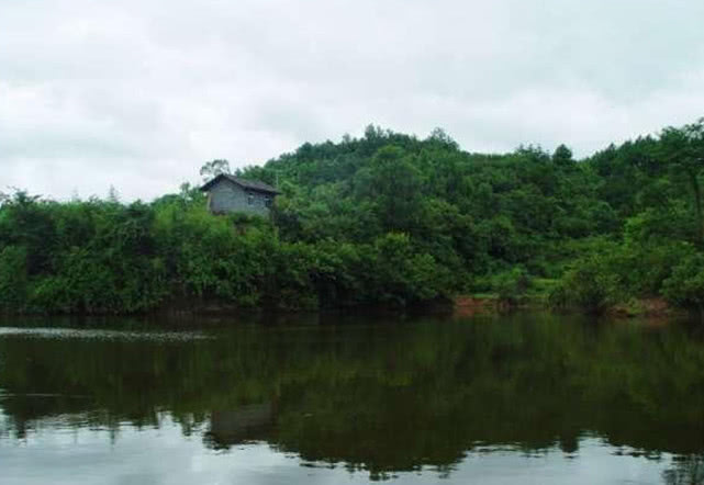 手竿钓大头鱼的最佳方法,手竿钓大头鱼的鱼饵料什么最好
